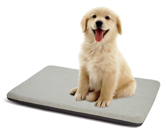 Snoutrish Orthopedic Dog Bed